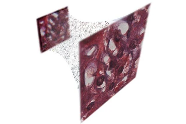 Visual published with the cited source for this record: Metastage's 106 cameras build a mesh, not a free-standing image