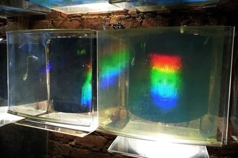 Visual published with the cited source for this record: New York's Museum of Holography closed in 1992, archive to MIT
